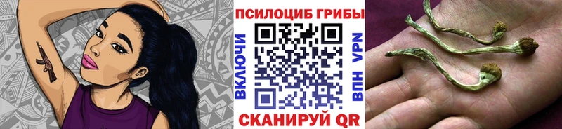 где найти   Магнитогорск  Галлюциногенные грибы мицелий 