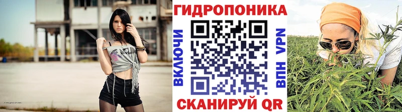 Конопля семена  MEGA ссылки  Магнитогорск  сколько стоит 